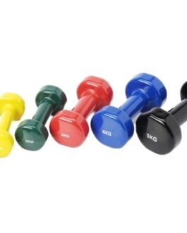 Round Vinyl Dumbbell