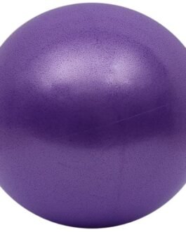 Yoga Mini Stability Ball
